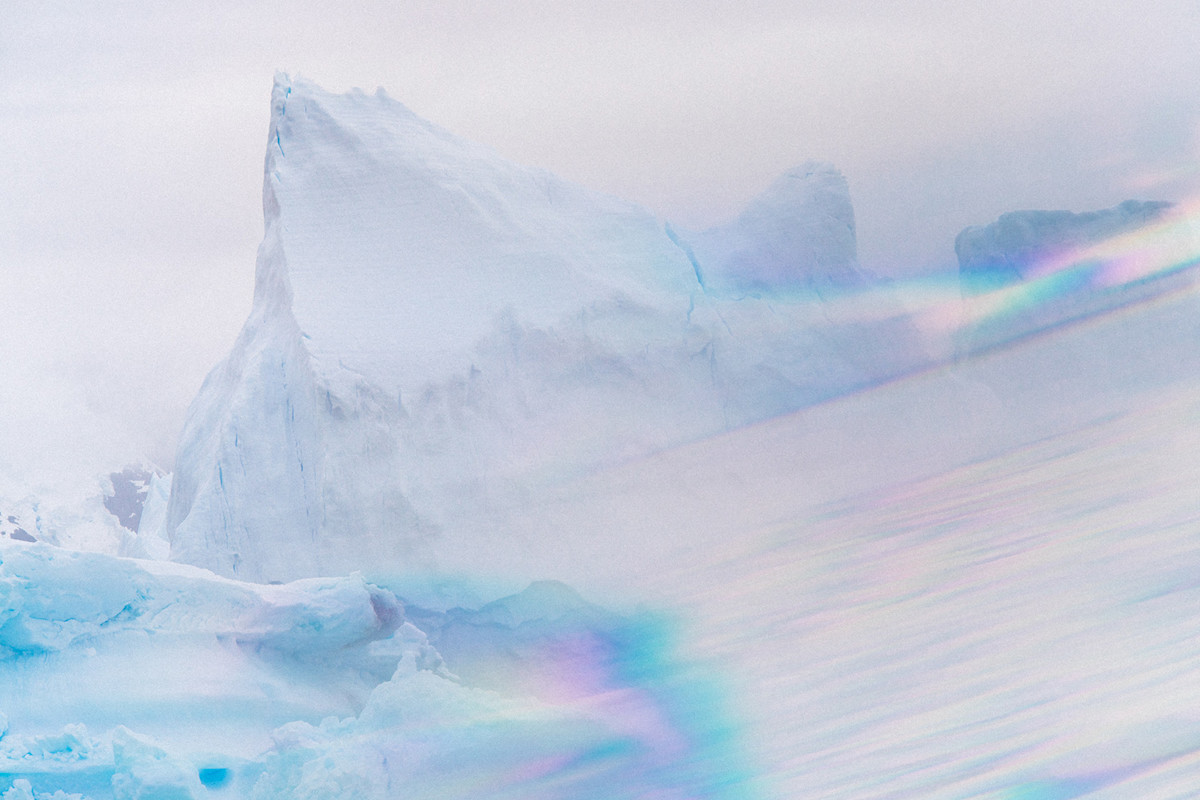 Letting Wanderlust Lead the Way in Antarctica