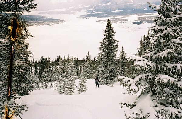 Gunnison-Splitboard