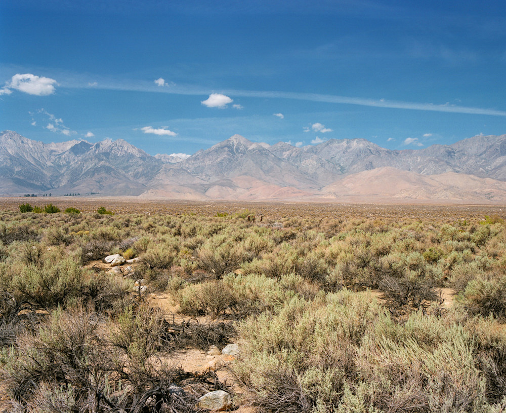 arnaud-teicher-california-5