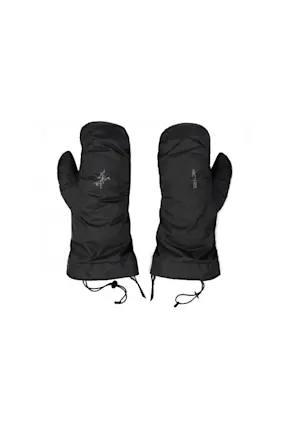 Arc'teryx Beta Down Mitten