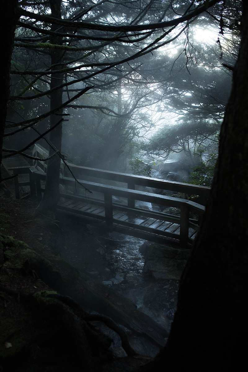 Coldsmoke-Tofino-21