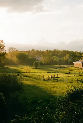 Q&A: Photographer Matt Steindl on Art, Zines, the Quiet Beauty of Rural PA