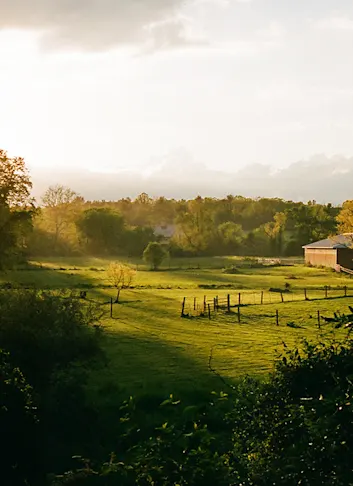 Q&A: Photographer Matt Steindl on Art, Zines, the Quiet Beauty of Rural PA