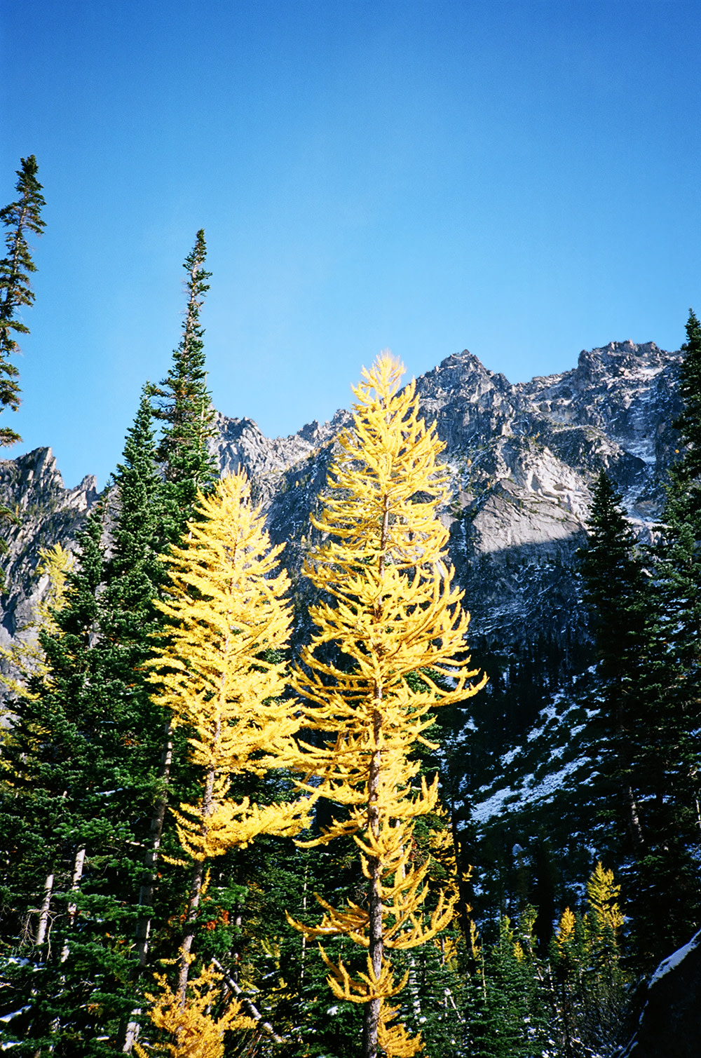 Tolle-Enchantment-10