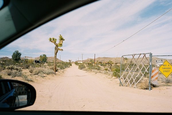 GH-JoshuaTree-12