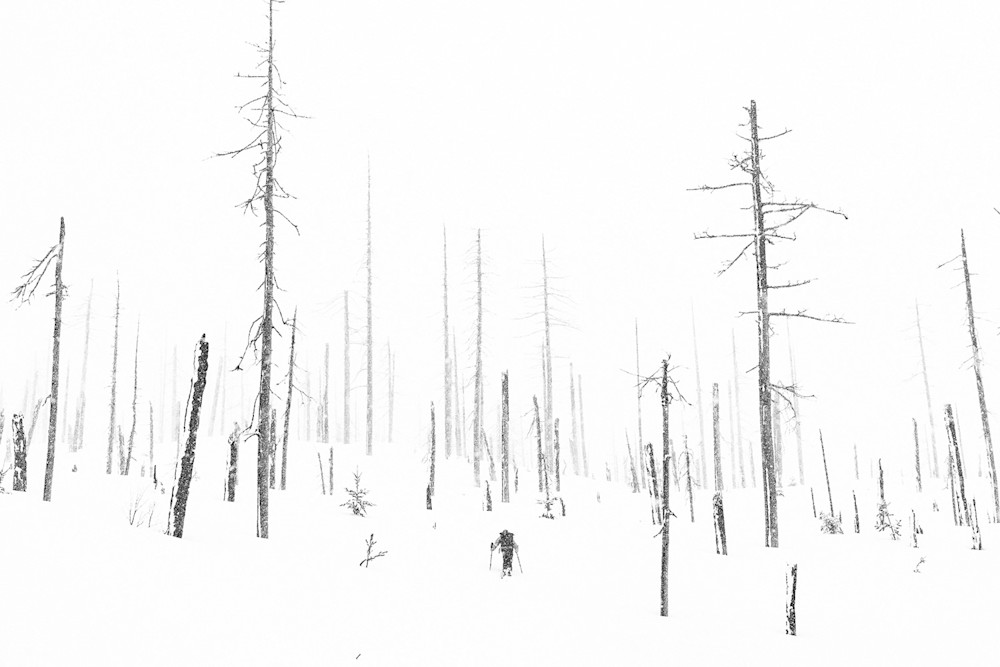 Colton Jacobs-Winter-17-highlights-23