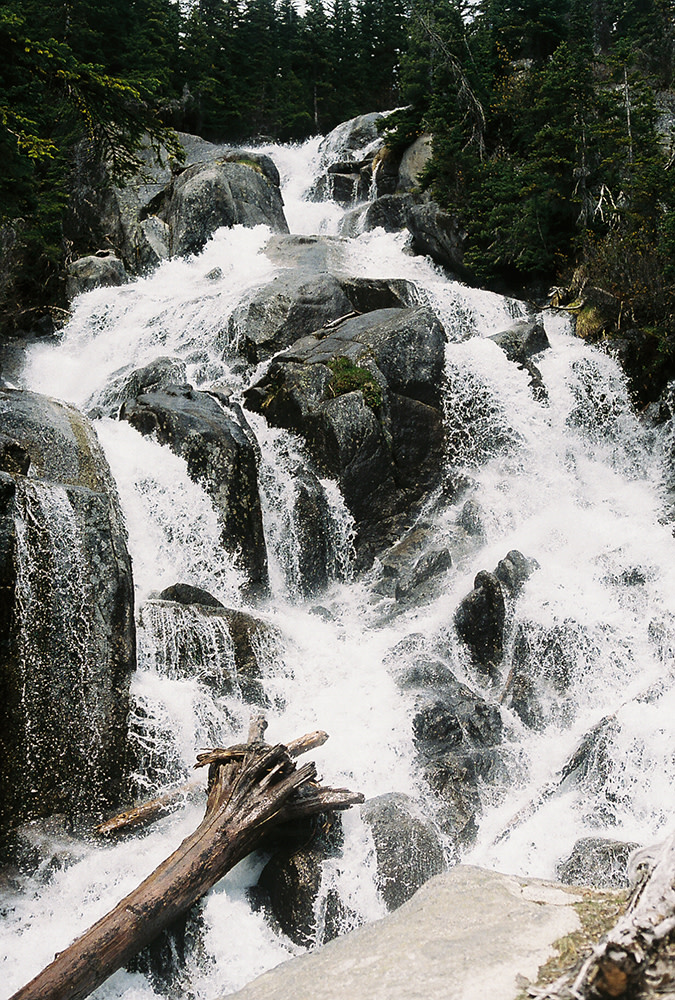 Nash-Rood-Enchantments-Fieldmag-2