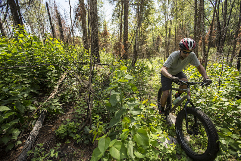 TC-Worley-BikeCanoe-8
