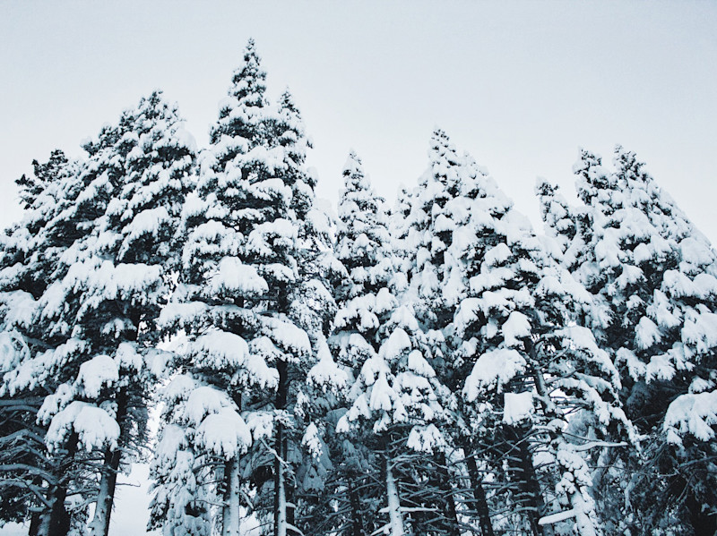Sarah-Attar-Eastern-Sierra-7