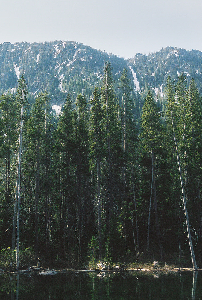 Nash-Rood-Enchantments-Fieldmag-1