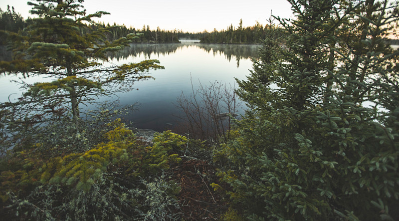 TC-Worley-BWCA-13