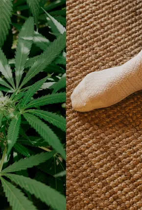 Arvin Goods Hemp BioFiber Socks Combat Environmental Waste in Style