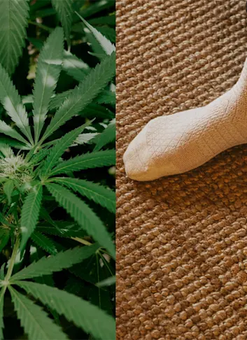 Arvin Goods Hemp BioFiber Socks Combat Environmental Waste in Style