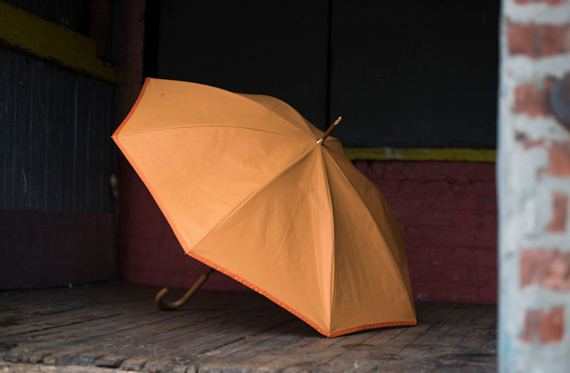 RainLite Umbrella, $68