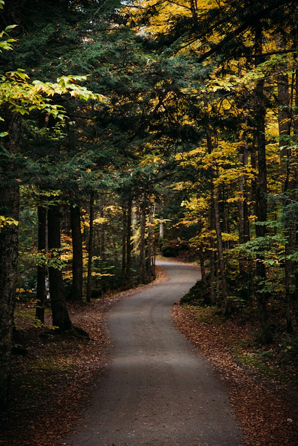 Sean-Madden-Adirondacks-18