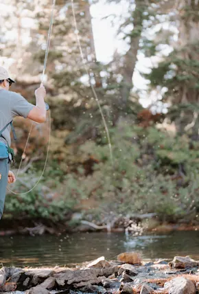 Searching for Alpine Brook Trout in California's Sierra Nevada Mountains