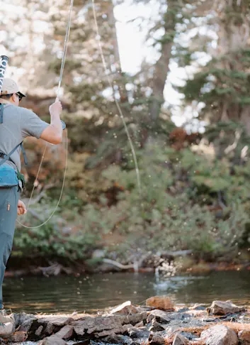 Searching for Alpine Brook Trout in California's Sierra Nevada Mountains