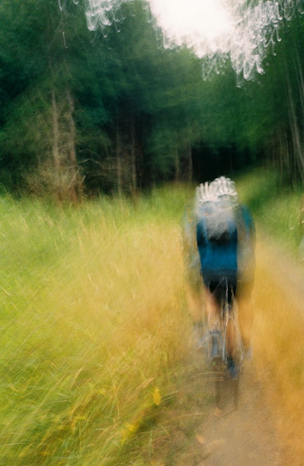 Olympic-Peninsula-Diverge-8