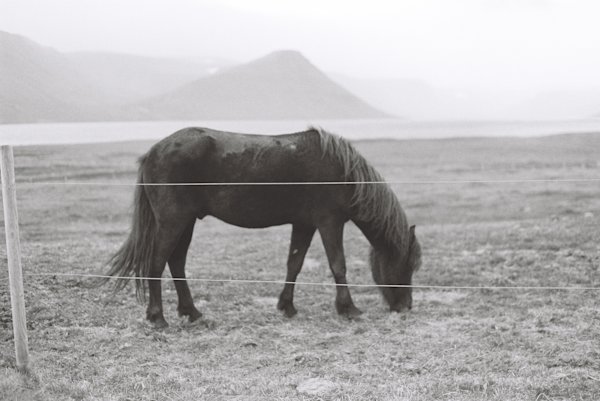 Tolle-Iceland-west-fjord-14
