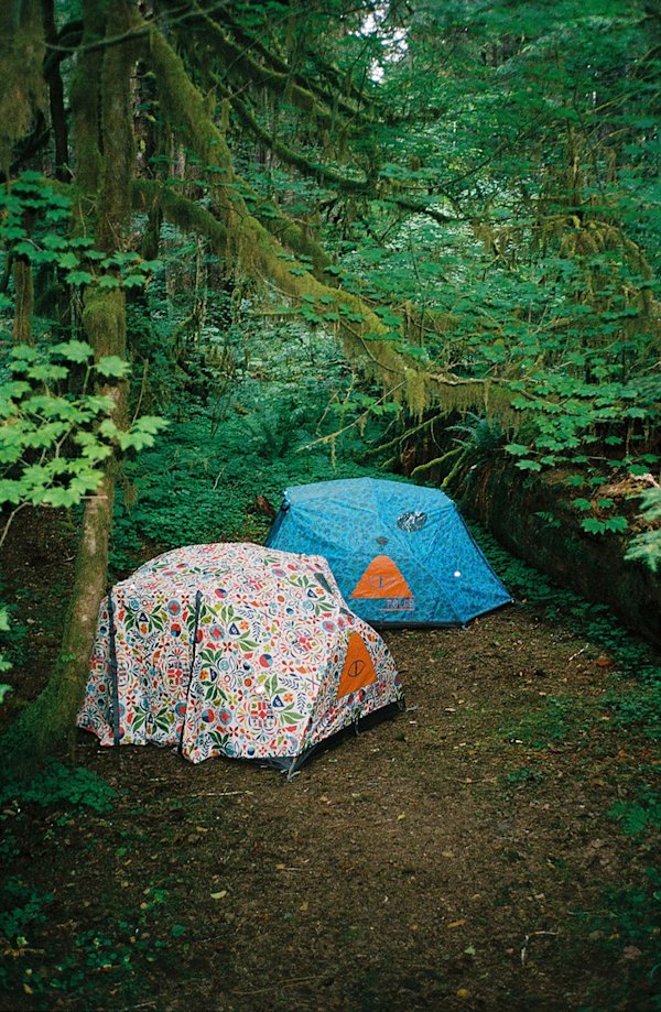 Olympic-Peninsula-Diverge-17