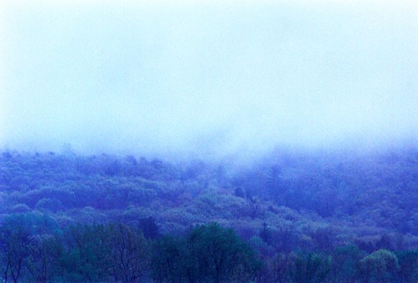 A-Gosselin-Catskills-Experimental-11
