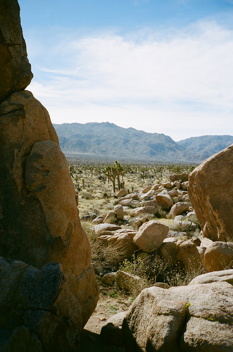 Ramon-Barcenas-Joshua-Tree-Field-Mag-16
