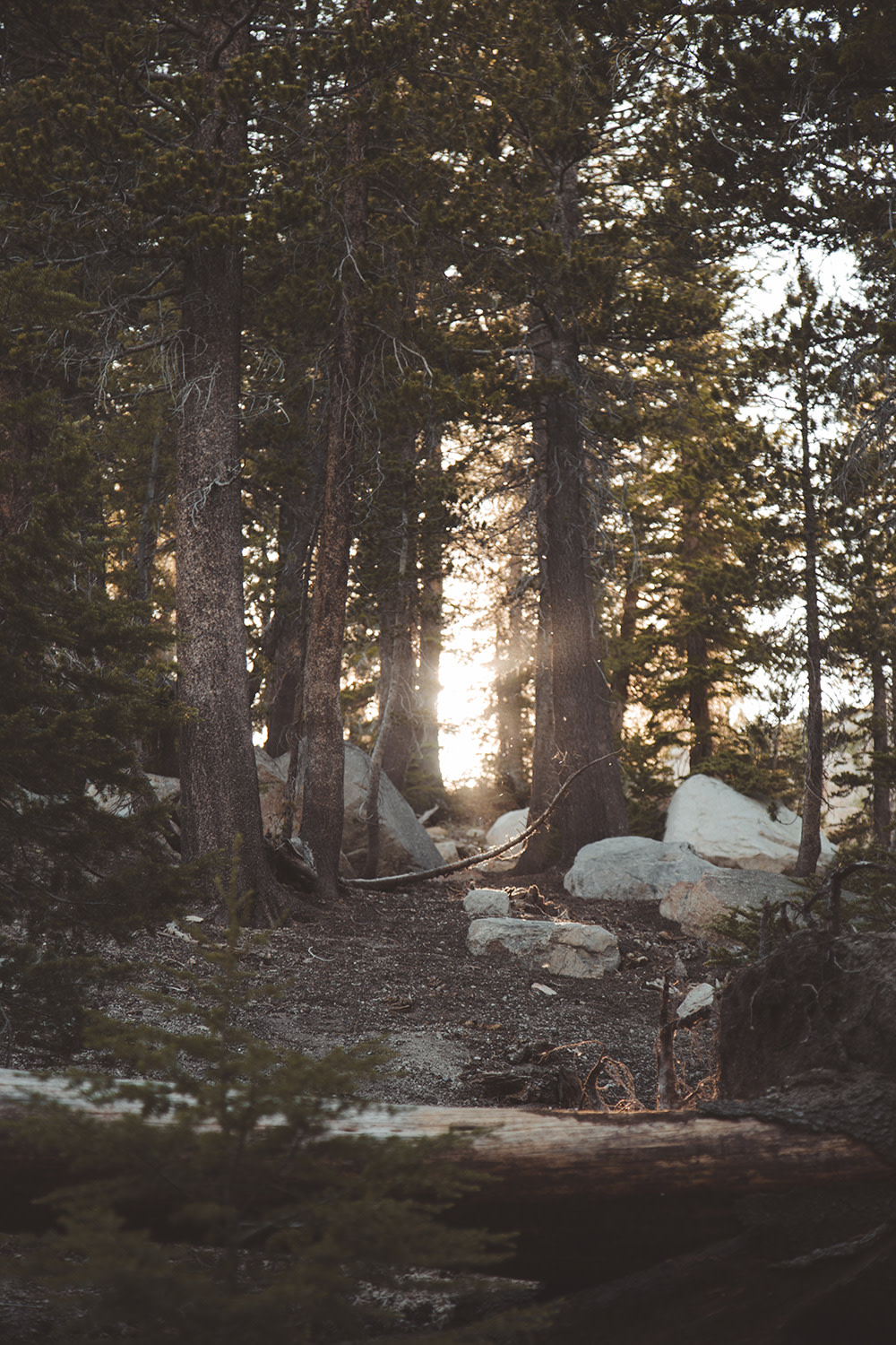 Matt-MacDonald-Sierra-Yosemite-2