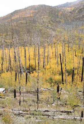 Colorado Backcountry Microadventuring