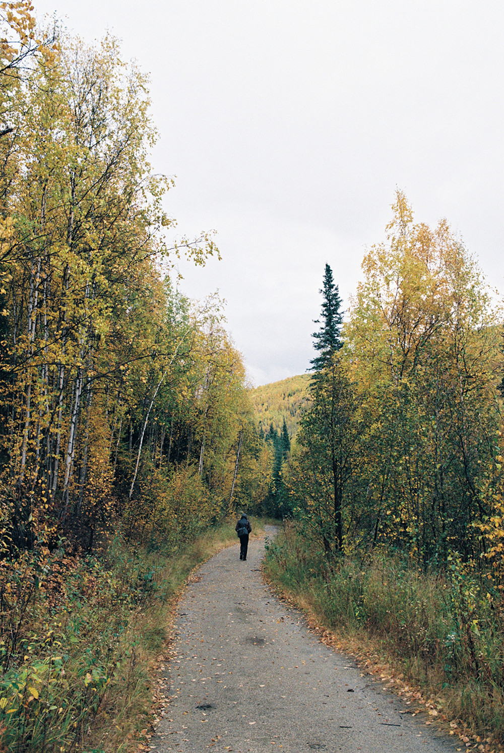 Upchurch-Alaska-Fall-19
