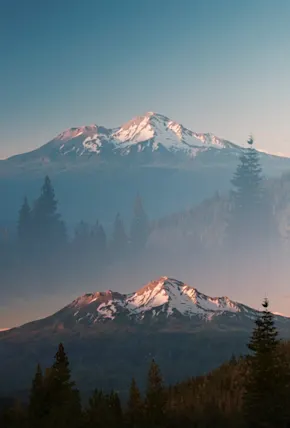 Experimental Film Exposures From the California Wilderness