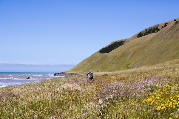 Colton-Jacobs-Lost-Coast-19