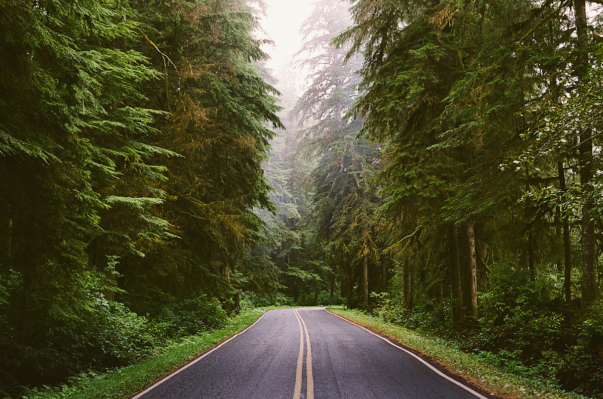 4,500 Miles of Open Road Therapy