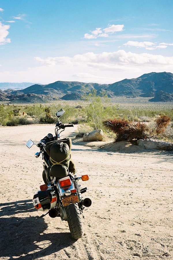 GH-JoshuaTree-10
