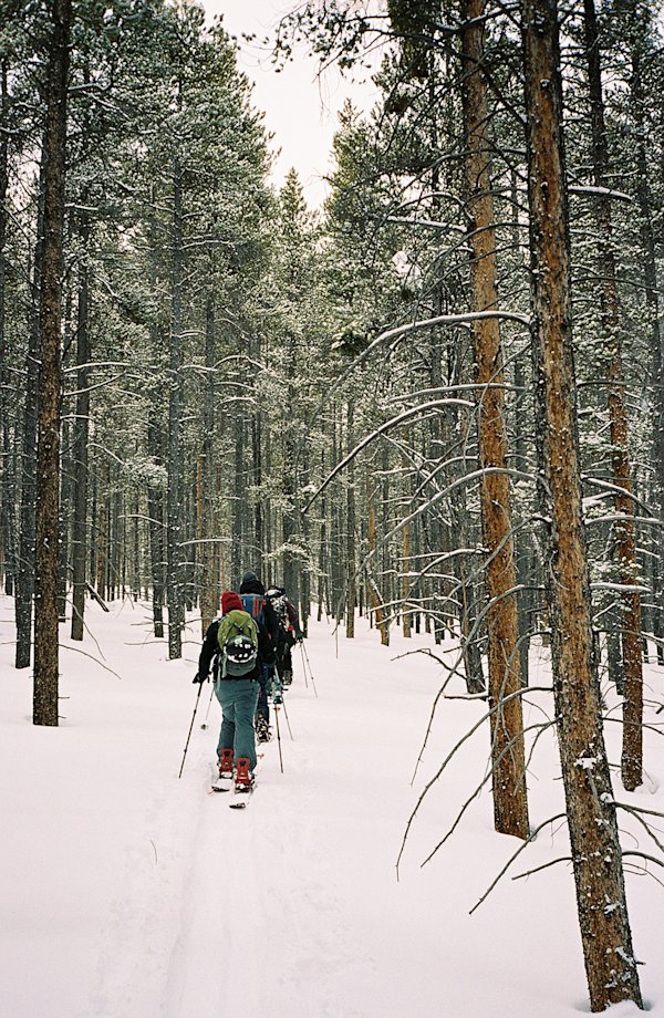 Crested-Butte-CO-Splitboard-6