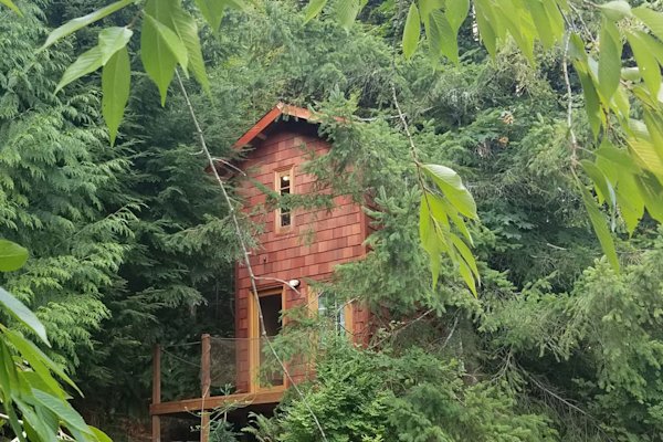 Washington-Treehouse-Sasquatch-Cabin-Exterior