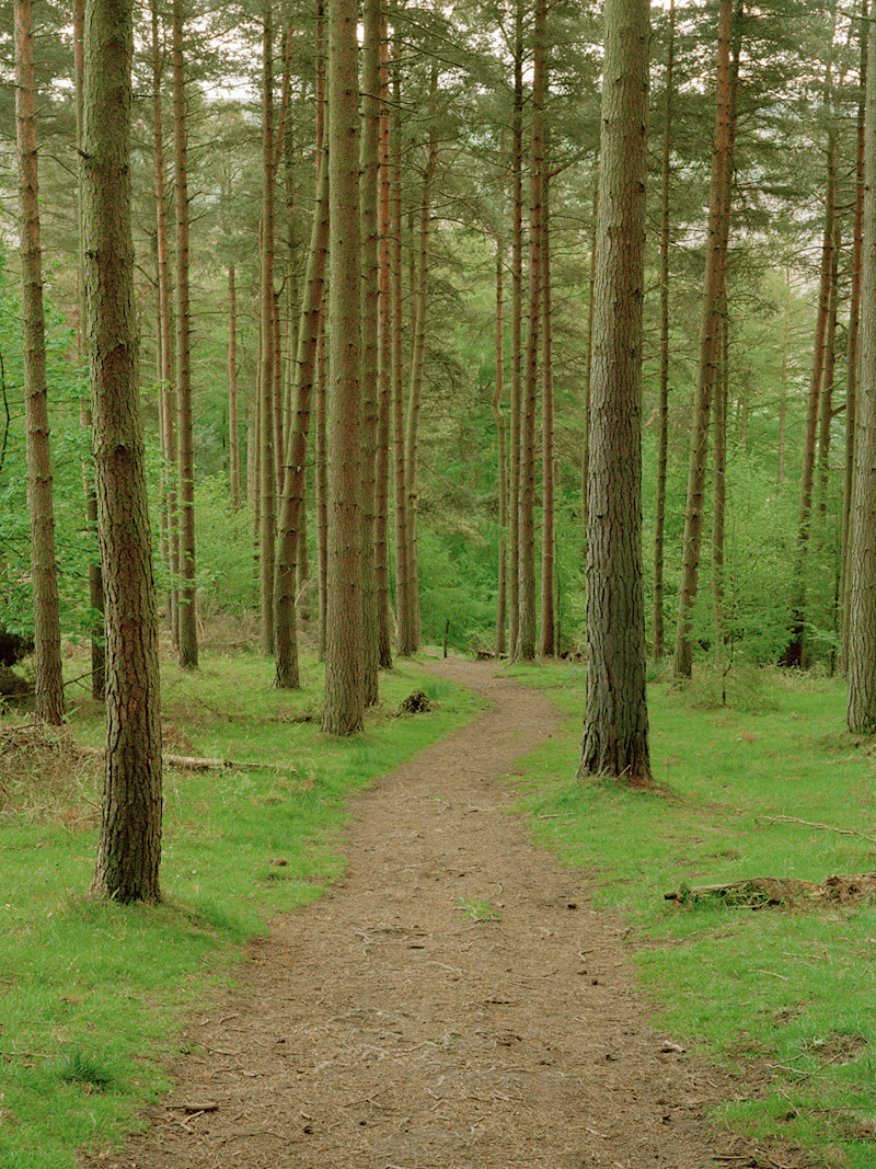 Microadventure Experimenting in Sheffield, England