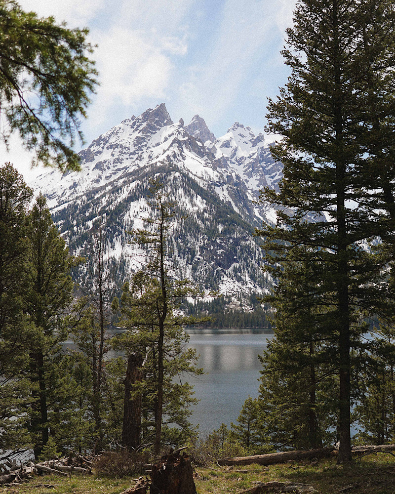 Andrew-Wee-Teton-Yellowstone-9