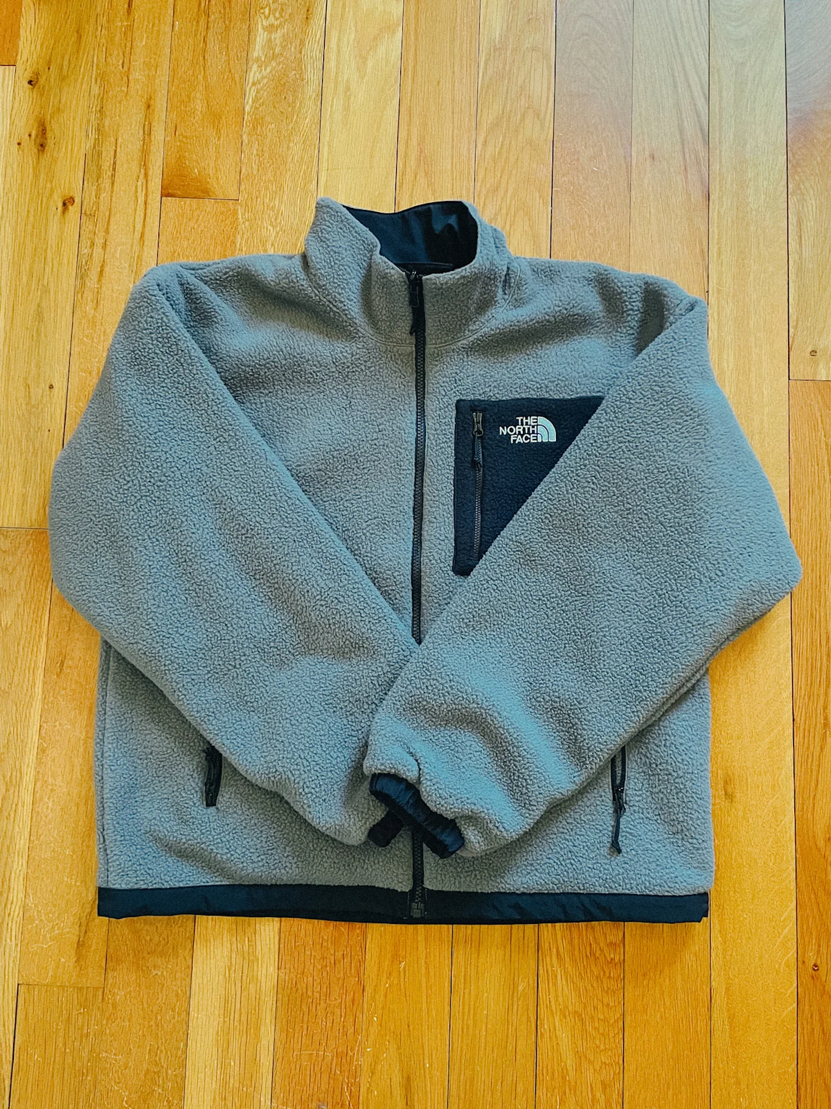 leon-hedgepeth-fleece-jackets-the-north-face