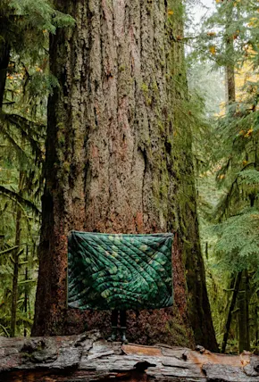 Rumpl Teams With the Raincoast Conservation Foundation