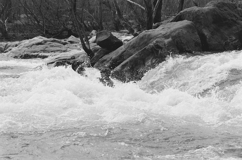 swims-essay-fieldmag-1