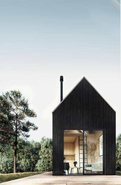 Walden's Catskills Tiny House