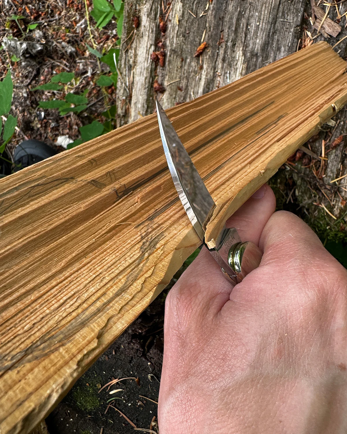 Case-Knife-Spoon-Carving-2