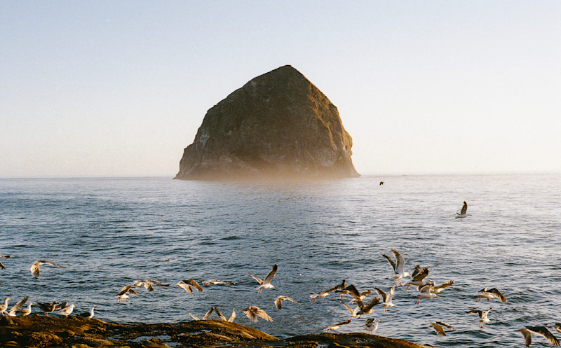 Barkman-ORE-coast-surf-9