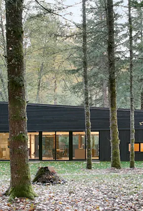 Architectural Inspo: Mount Rainier Home Base