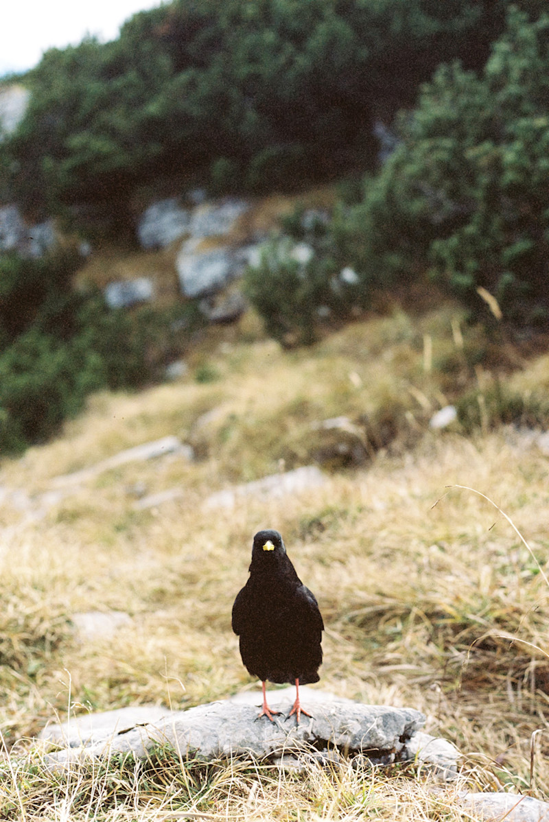 Philipp-Wortmann-fall-alpine-hike-10