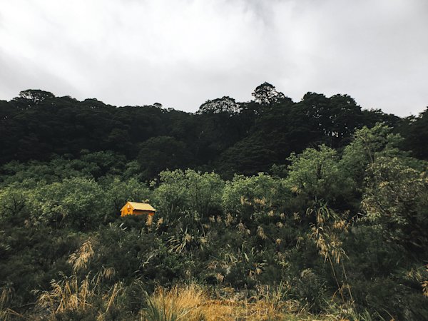 Erik-NZ-Te-Araroa-25