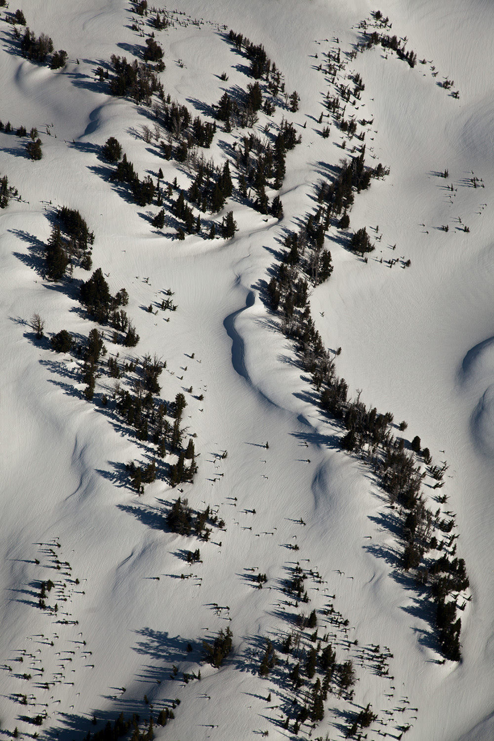 The-Field-Cascade-Heli-8