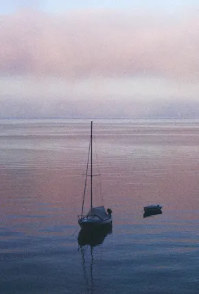 Escape to Orcas Island Skatepark with Pro Snowboarder Austen Sweetin