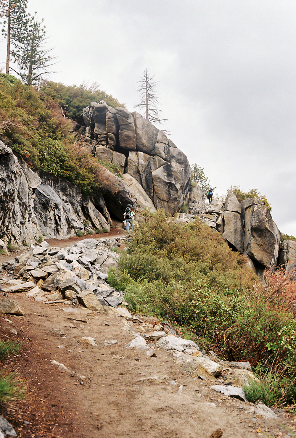 Nash-Rood-Yosemite-El-Cap-10