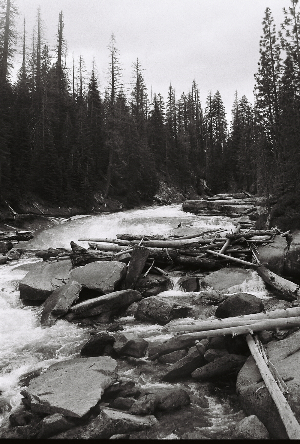 Nash-Rood-Yosemite-El-Cap-3